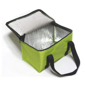 Portable Insulated picnic use bag lunch bag