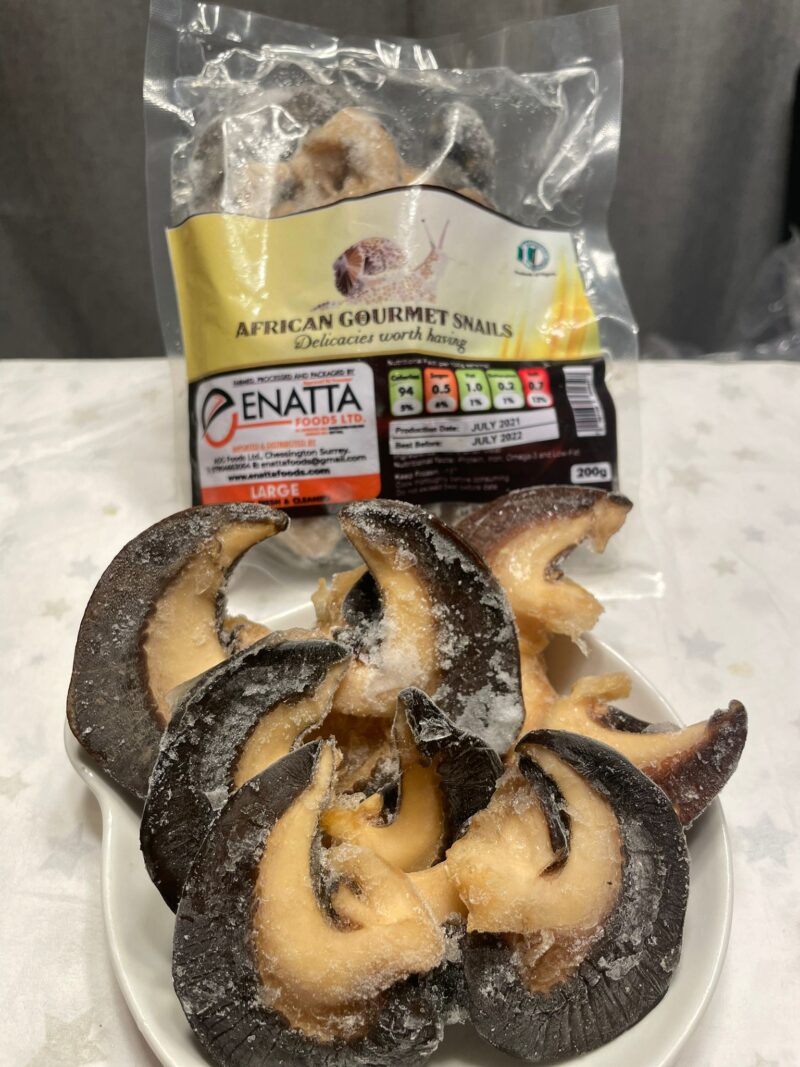 African Gourmet Snails (Large Pack)