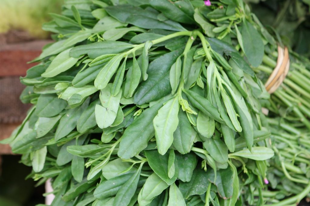 Sack of Efo-gbure (Waterleaf) - For orders above N100,000 ONLY